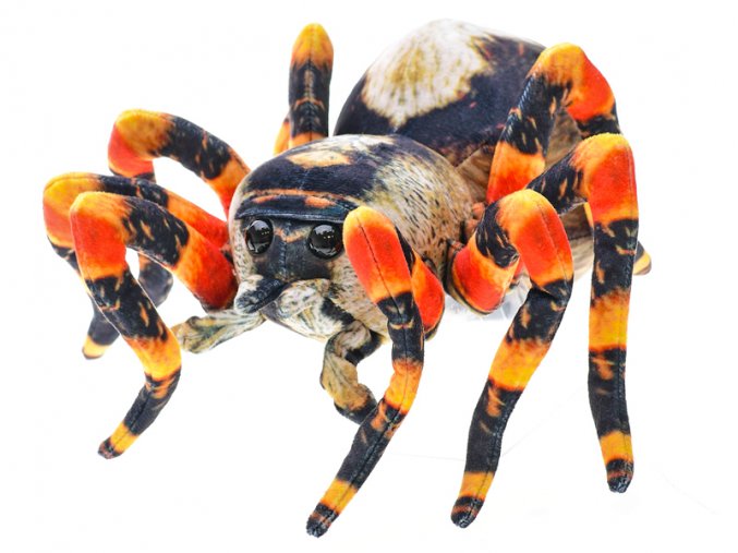 Pavouk hnědý plyšový 25 cm