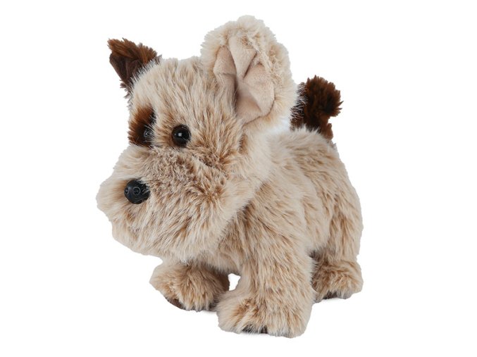 11fb3f66eb4d681a6a9c702a6fc20eba