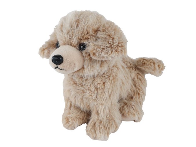 16592f8dc762543900aa25fdbf78f147