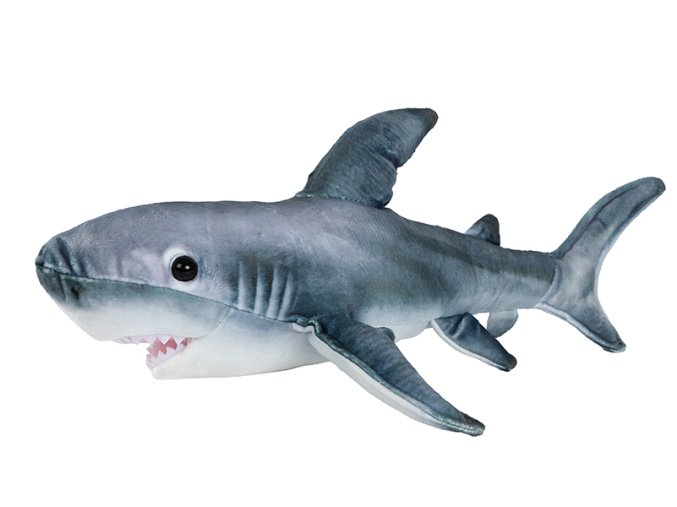 d13aecc5c655cdcba04ae6a44d979df9