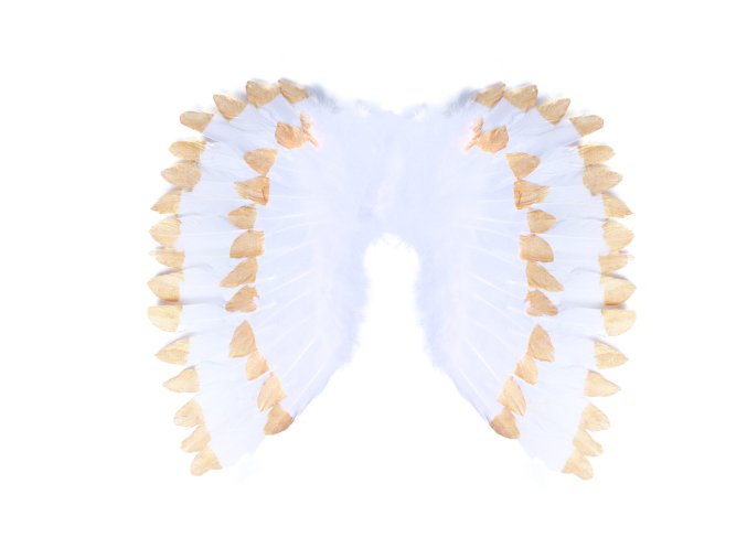 Křídla andělská s peřím bílo-zlatá