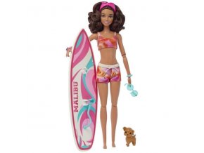 barbie hpl69 surfarka s doplnky h070027