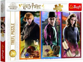 Puzzle Ve světě magie a čarodějnictví/HARRY POTTER 200 dílků 48x34 cm