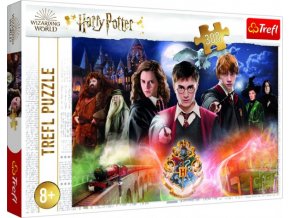 Puzzle Tajemství HARRY POTTER 300 dílků 60x40 cm