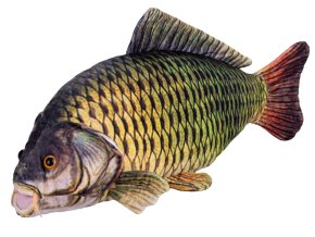 f61a8ed7794c98ba0ac91080f088ba10