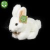 Plyšový králík bílý 16 cm
