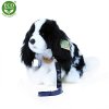 Plyšový pes kavalier s vodítkem 27 cm