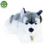 Plyšový pes husky ležící 30 cm