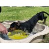 Bazének pro zvířata - Klasik