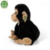 Plyšový šimpanz 28 cm