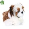 Plyšový pes shih tzu sedící 28 cm