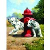 Malování podle čísel Dalmatini u červeného hydrantu 22x30 cm s akrylovými barvami a štětcem na kartě