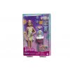 Barbie Chůva herní set - Panenka v květinových šatech