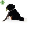 Plyšový pes bernský salašnický sedící s vodítkem 20 cm