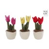 Take Me Home tulipány plyšové 25 cm