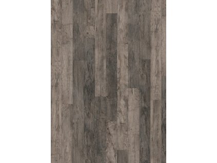 epl193 st62 medium wv4 frontal 10de flo