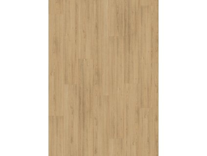 el1093 st41 classic wv4 frontal 10de flo