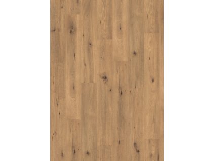 el2067 st41 classic wv4 frontal 10de flo