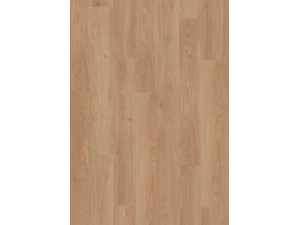 el2090 st55 classic frontal 10de flo