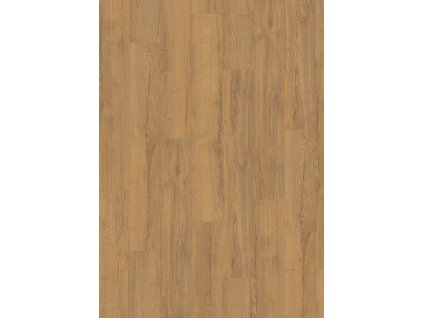 el2096 st65 classic wv4 frontal 10de flo