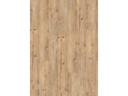 el2520 st55 classic wv4 frontal 10de flo