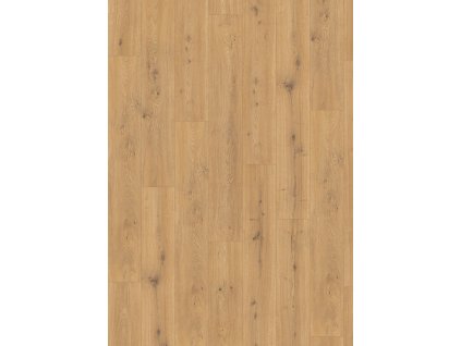 el2009 stf1 classic wv4 frontal 10de flo