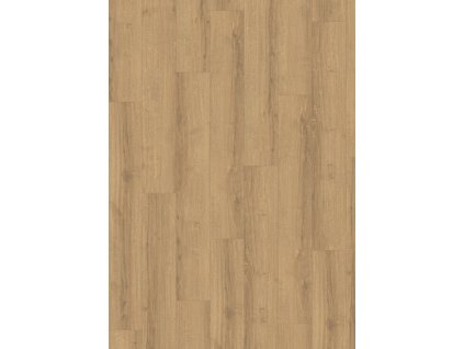 el2014 stf8 classic wv4 frontal 10de flo