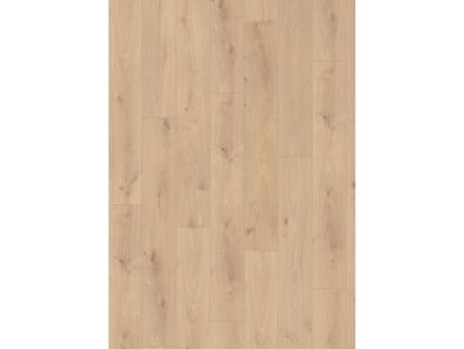 el2138 st55 classic wv4 frontal 10de flo