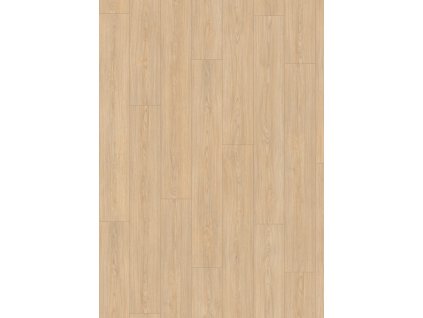 el2151 st61 classic wv4 frontal 10de flo