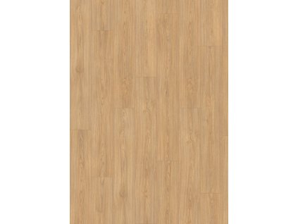 el2152 st61 classic wv4 frontal 10de flo