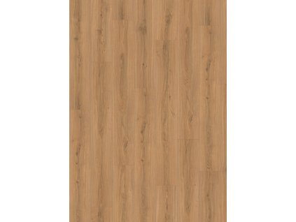 el2172 st61 classic wv4 frontal 10de flo