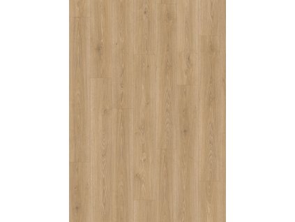 el2181 st55 classic wv4 frontal 10de flo 0