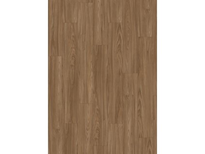 el2526 st41 classic wv4 frontal 10de flo