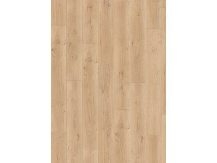 el2113 st60 classic wv4 frontal 10de flo