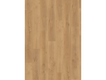 el2114 st60 classic wv4 frontal 10de flo