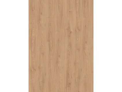 el2242 st45 classic wv4 frontal 10de flo