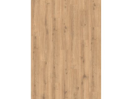 el2428 stf7 classic wv4 frontal 10de flo