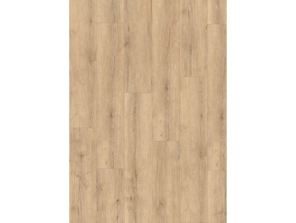 el2141 st55 large wv4 frontal 10de flo