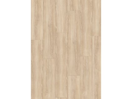 el2161 st55 large wv4 frontal 10de flo