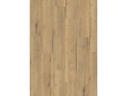 el2973 st65 large wv4 frontal 10de flo