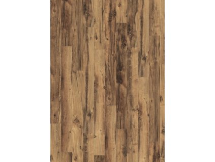 el2032 st55 medium wv4 frontal 10de flo