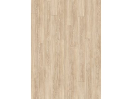 el2161 st55 medium wv4 frontal 10de flo