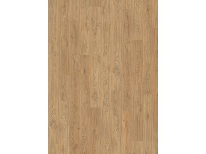 el2928 stf1 medium wv4 frontal 10de flo