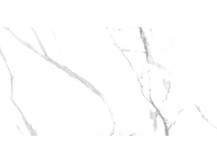 Ecoceramic Grayish 60x120 1