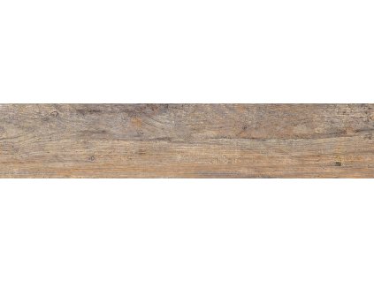 leg003.168152264606585