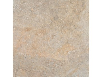 PAR RR595X5951BURLIV20