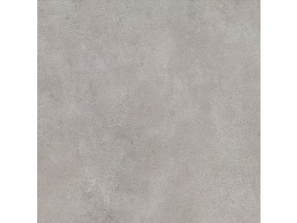 PAR RR598X5981SILKGR