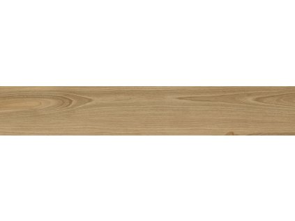 Ceramika Color DREAMWOOD 20x120 1