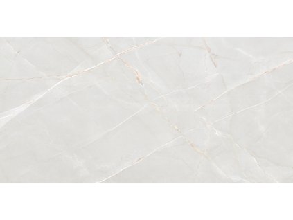 ARGENTA BIANCO 60x120 1