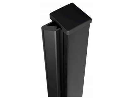 zl4989b.233839494433107